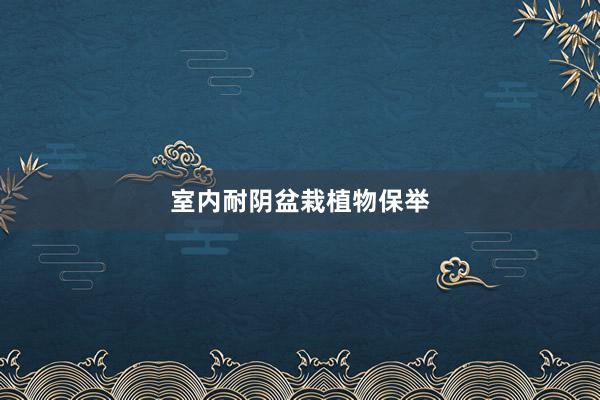 室内耐阴盆栽植物保举