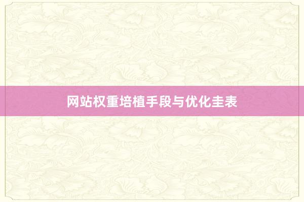 网站权重培植手段与优化圭表