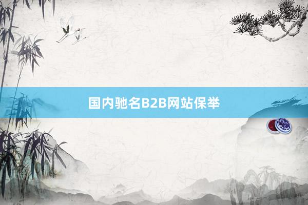 国内驰名B2B网站保举