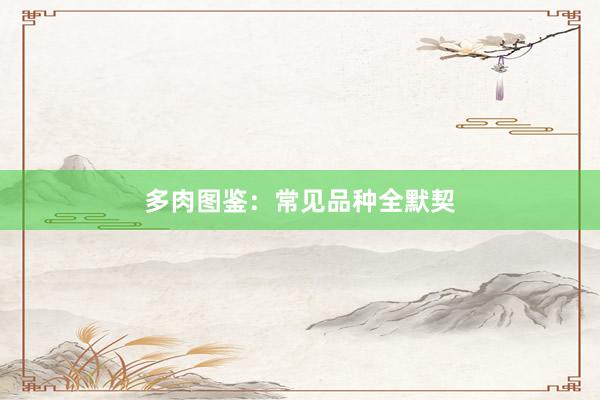 多肉图鉴：常见品种全默契