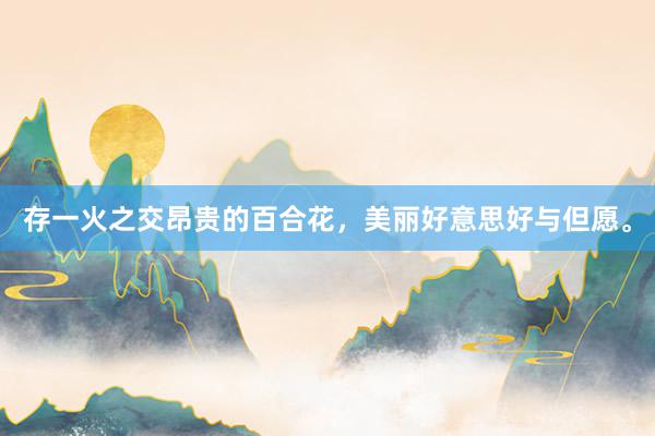 存一火之交昂贵的百合花，美丽好意思好与但愿。